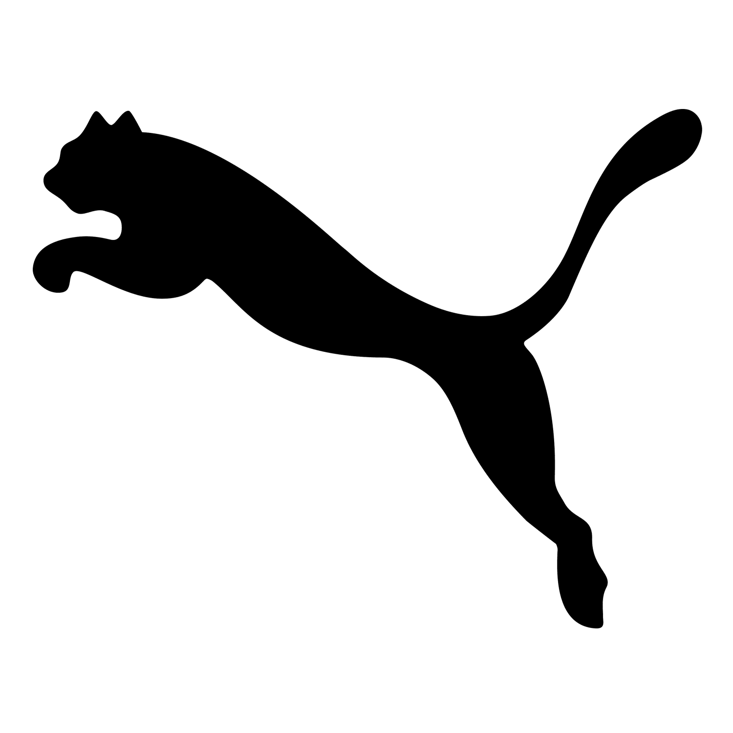 PUMA PUFF CITY