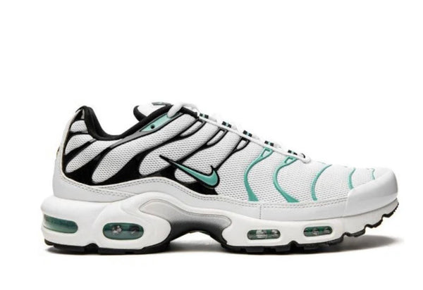 NIKE AIR MAX PLUS "ATMOS"
