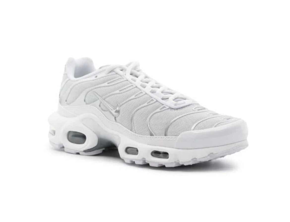 NIKE AIR MAX PLUS TWO-TONE