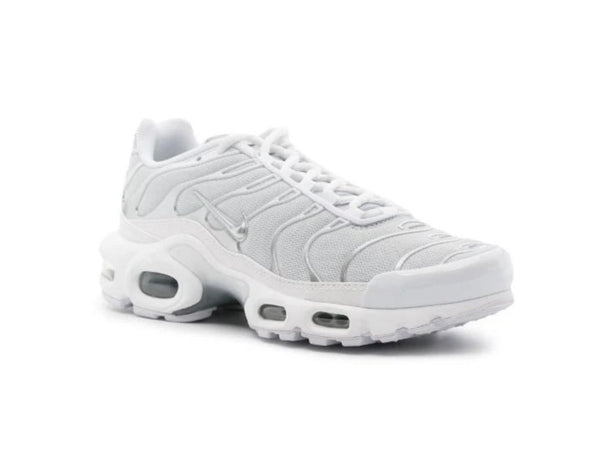 NIKE AIR MAX PLUS TWO-TONE