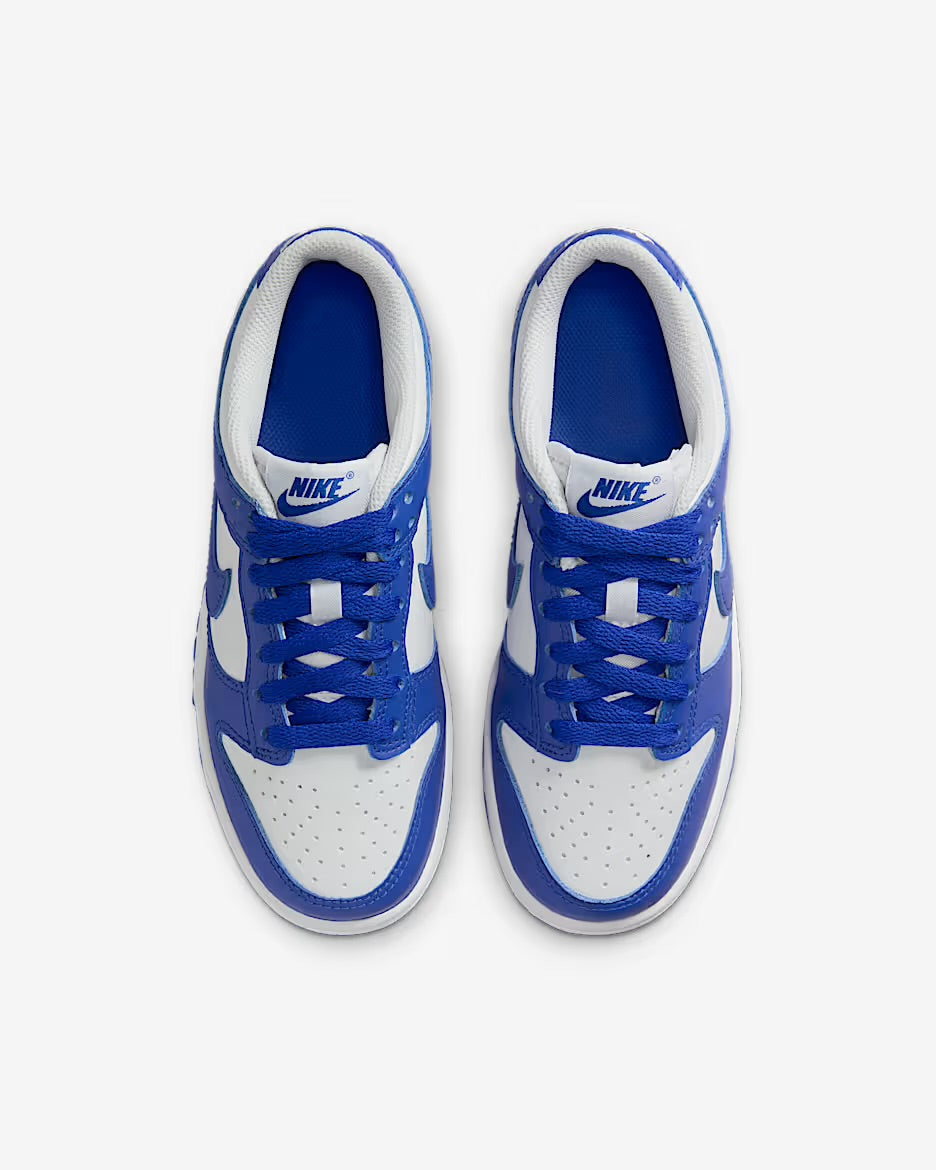 NIKE DUNK LOW PUFF CITY