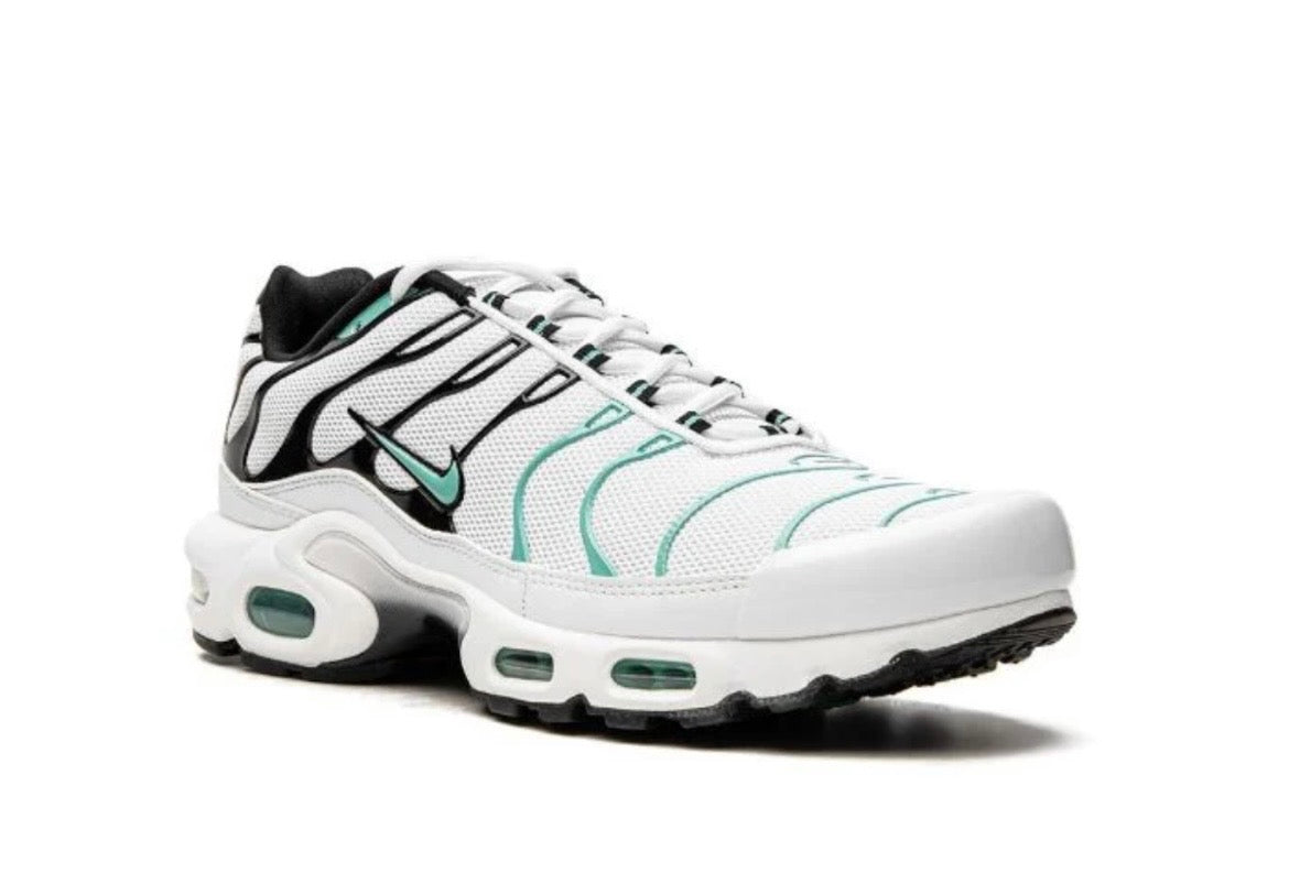 NIKE AIR MAX PLUS "ATMOS"