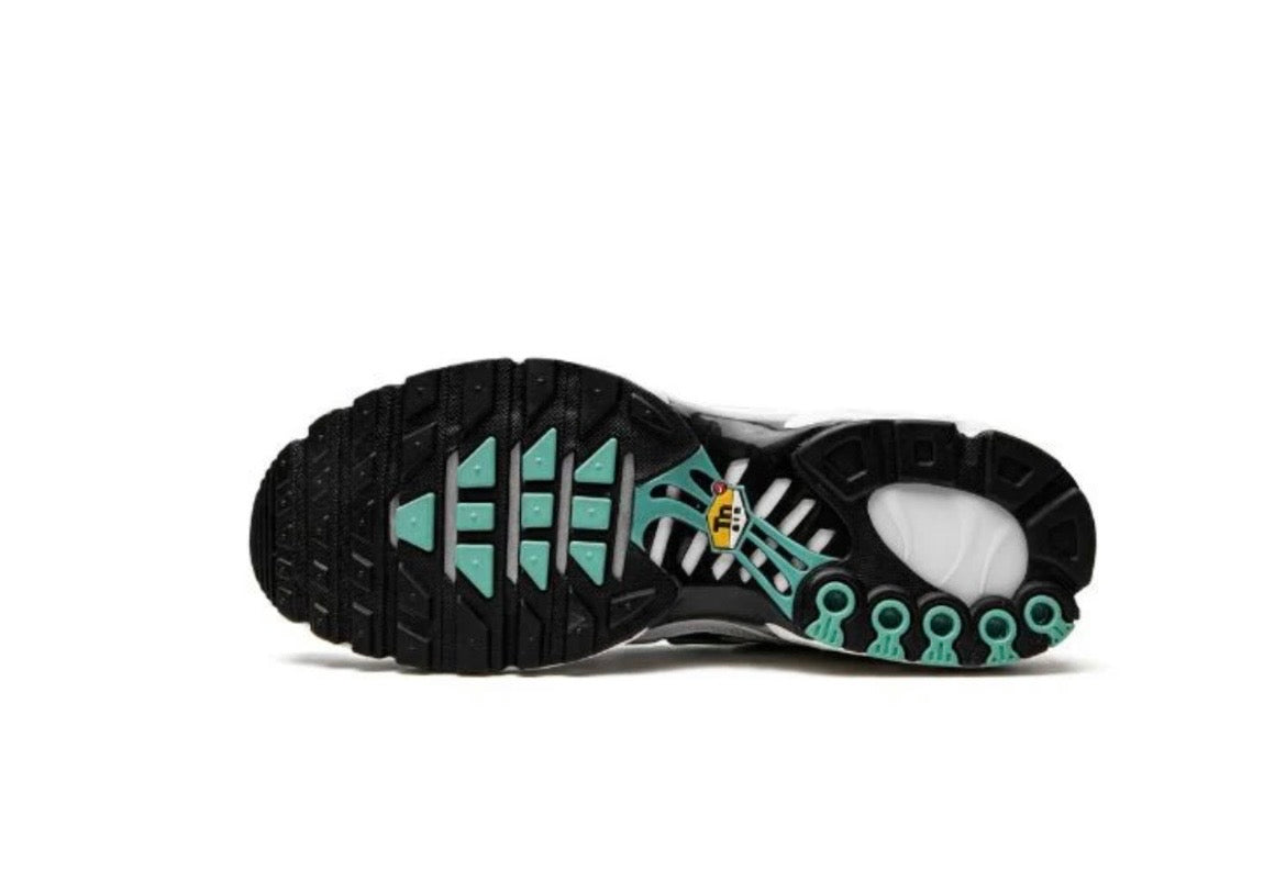 NIKE AIR MAX PLUS "ATMOS"